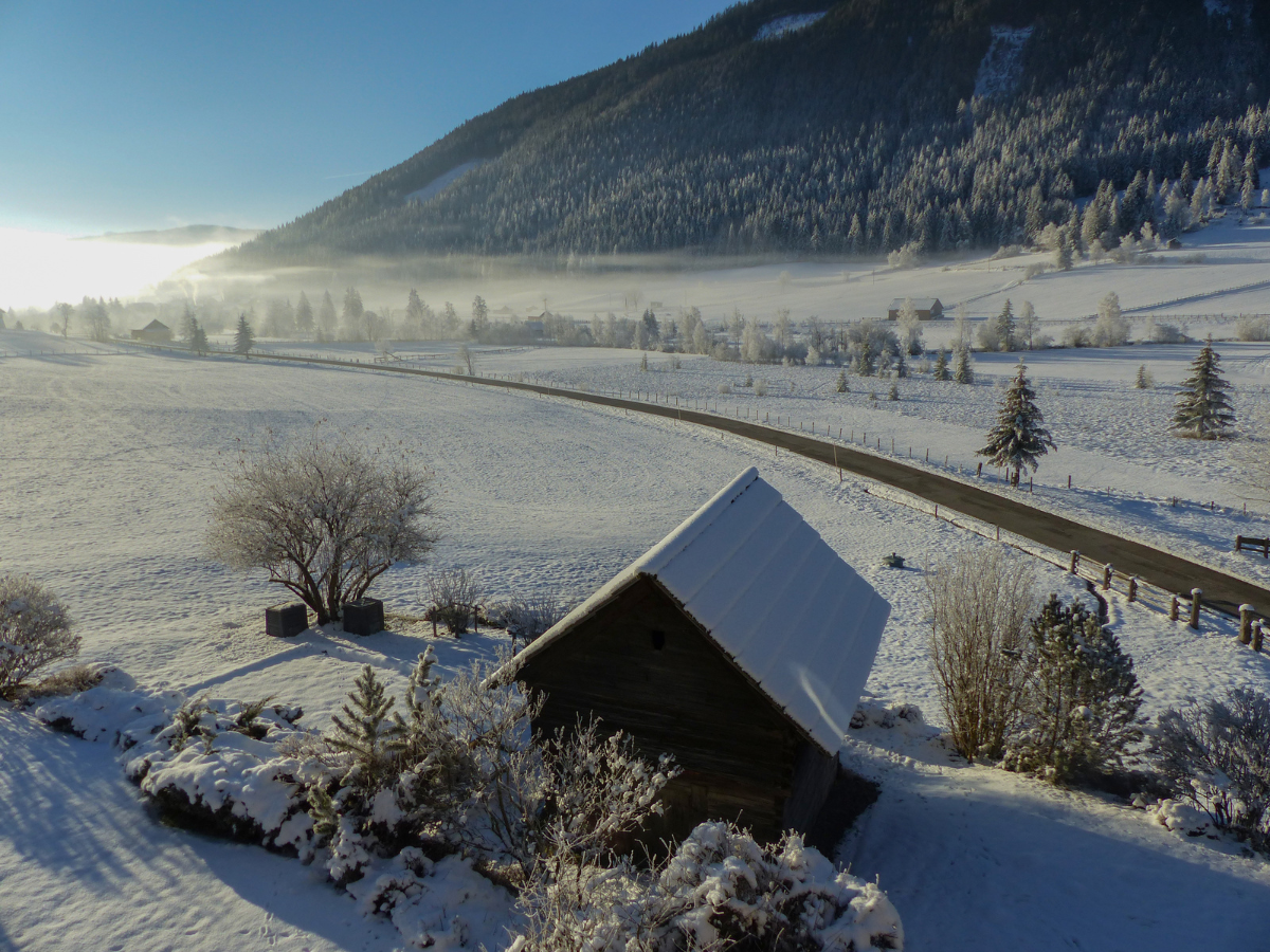 Ausblick von der Ferienwohnung in Weißpriach in den verschneiten Garten.