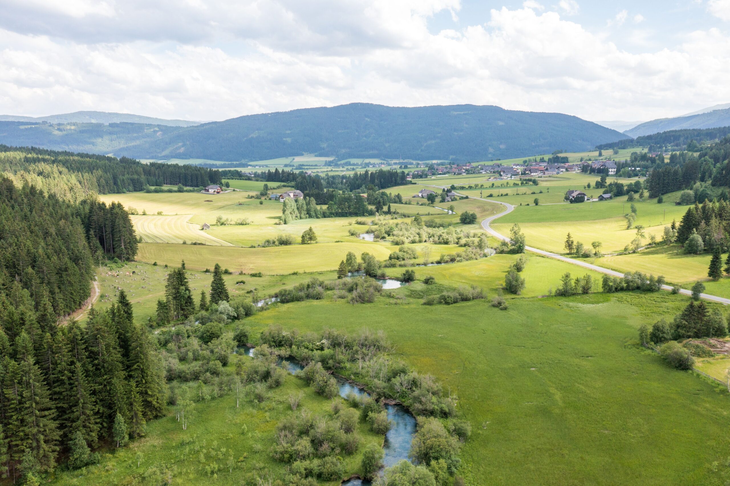 Blick in das Weißpriachtal im Sommer mit den blauen Mäandern der Longa