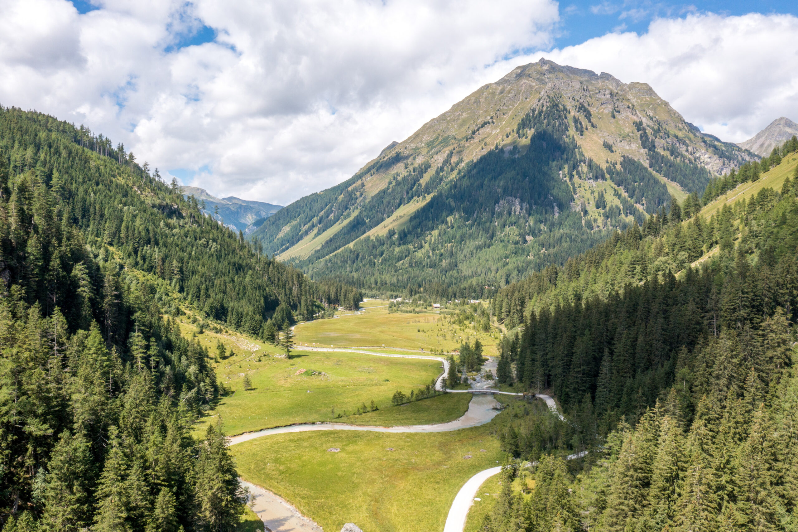Der Gebirgsbach Longa zwischen den Wäldern und Bergen in Weißpriach im Sommer.