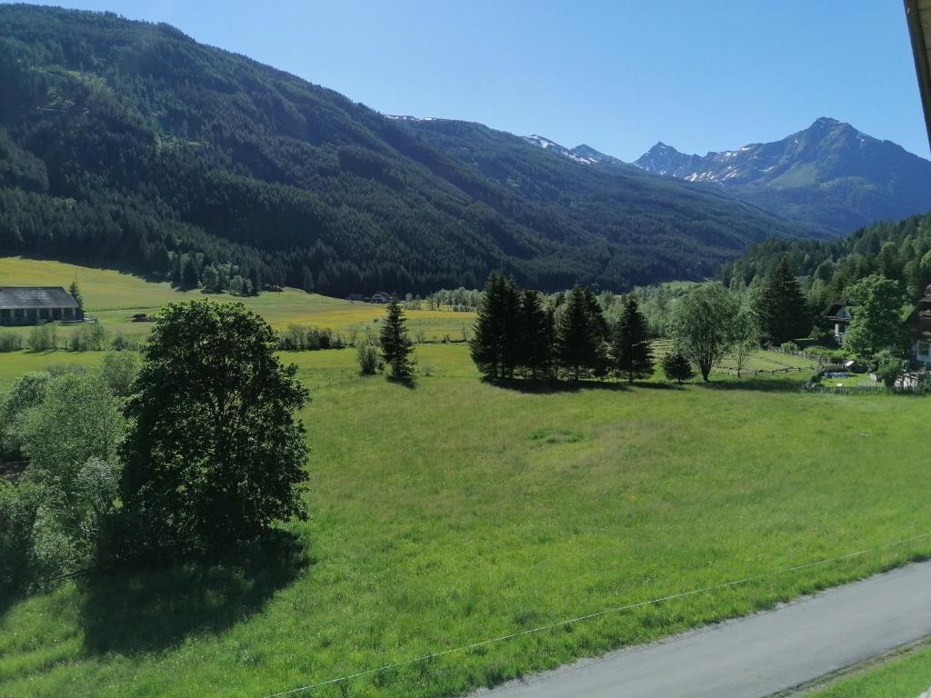 Der Ausblick von den Ferienwohnungen in Weißpriach im Sommer.